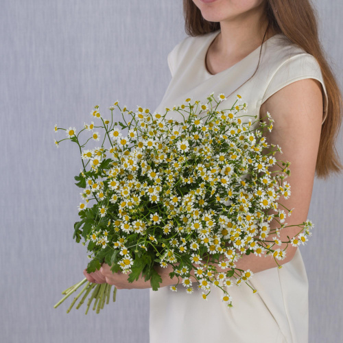 БукетРомашковое поле с танацетум